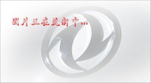 �|�L(f��ng)���p���g����Ʒ��ʽ�\ݔ܇